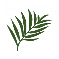 Palīdzība Guntim Silam