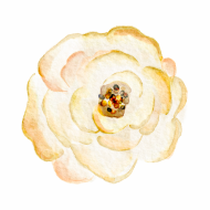 Palīdzība Irinai Sergejevai