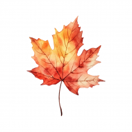 Palīdzība Kurtam Krišjānim Lavrinovičam