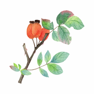 Palīdzība Nataļjai Anpilogovai