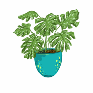 Palīdzība Jurijam Ignatjevam