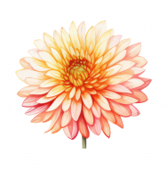 Palīdzība Inesei Kipānei