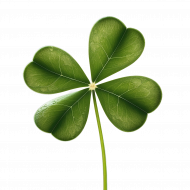 Palīdzība Sandijam Krauzem