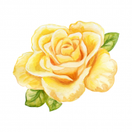 Palīdzība Aļonai Čihradzei