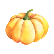 Palīdzība Iļjam Zemeļam