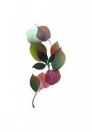 Atkārtota palīdzība Ričardam Naudžunam