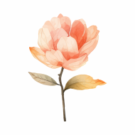 Palīdzība Sarmītei  Gobai