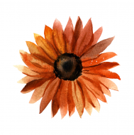 Palīdzība Jeļenai Ivanovai