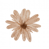 Palīdzība Maksimam Viskrebencevam