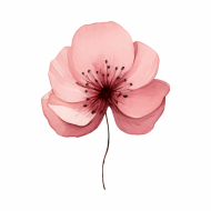 Palīdzība Megijai Sīmanei