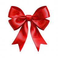 Palīdzība Anetei Boļšakai