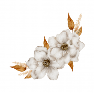 Palīdzība Karīnai Mikolaitei