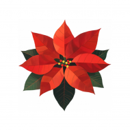 Palīdzība Ilvaram Punānam