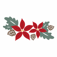 Palīdzība Aļonai Čihradzei