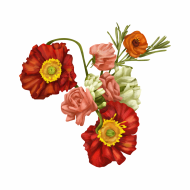 Atkārtota palīdzība Irinai Kņestjapinai