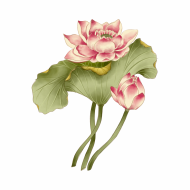 Atkārtota palīdzība Sarmītei Gobai