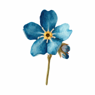 Atkārtota palīdzība Silvijai Luidmanei