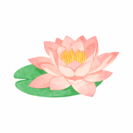 Atkārtota palīdzība Ludmilai Lapiņai