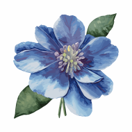 Atkārtota palīdzība Ilzei Merijai - Meri