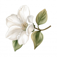 Atkārtota palīdzība Inesei Kipānei