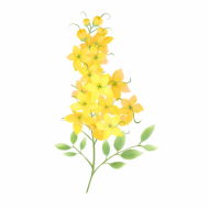 Atkārtota palīdzība Jūlijai Žukai