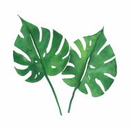 Atkārtota palīdzība Aleksandram Parančenko