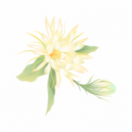 Atkārtota palīdzība Diānai Ižikai