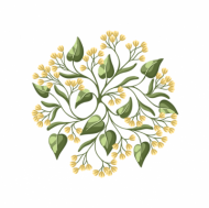 Atkārtota palīdzība Viktorijai Liepai