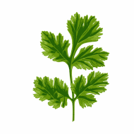 Atkārtota palīdzība Raimondam Aļuskinam