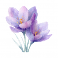 Atkārtota palīdzība Intai Strautniecei