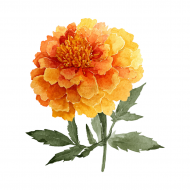 Atkārtota palīdzība Nataļjai Tretjakovai