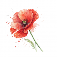 Atkārtota palīdzība Aldonai Redchenko