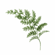 Atkārtota palīdzība Sandrim Dupatam