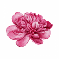 Palīdzība Rūtai Kalniņai