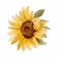 Atkārtota palīdzība Sanitai Kumpiņai