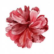 Atkārtota palīdzība Gaļinai Ribinai