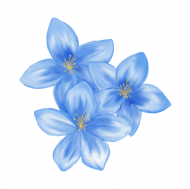 Palīdzība Ilzei Kļaviņai