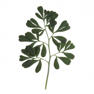 Palīdzība Jevgenijam Griškjanam