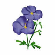 Palīdzība Viktorijai Degtjarjovai