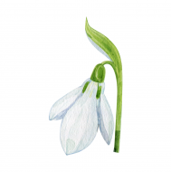 Palīdzība Mārtiņam Gaismiņam