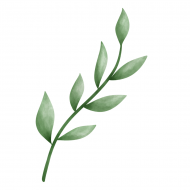 Atkārtota palīdzība Danielam Savkinam