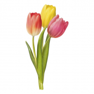 Palīdzība Evelīnai Silanžai