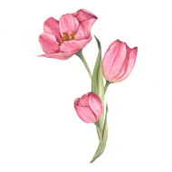 Palīdzība Evelīnai Lasmanei